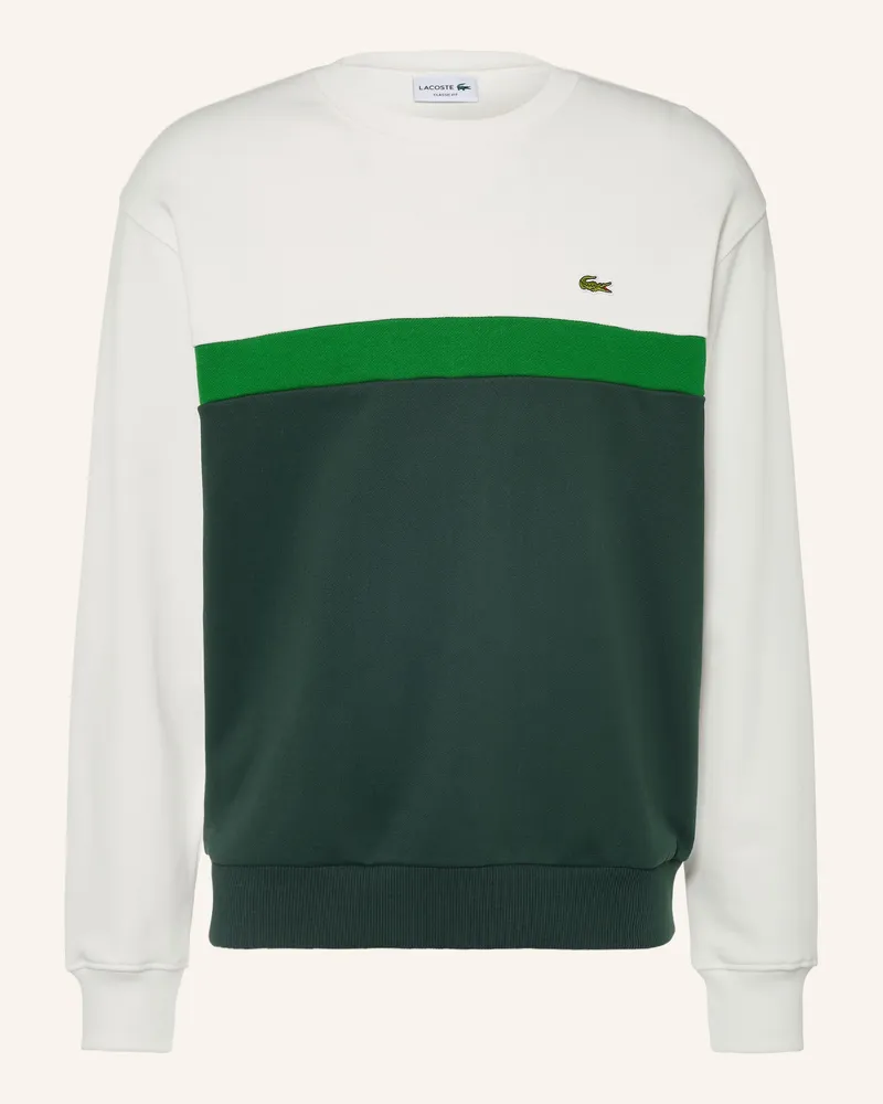 Lacoste Sweatshirt gruen Creme