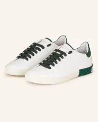 Dolce & Gabbana Sneaker PORTOFINO VINTAGE - WEISS/ GRÜN Weiss