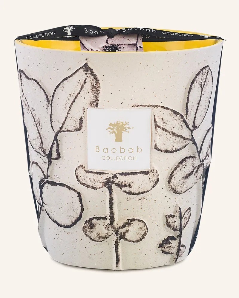 Baobab Collection Duftkerze FOLIA CALANQUE Creme