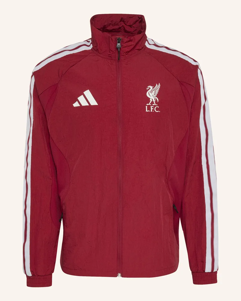 adidas Fc Liverpool Anthem Heimjacke rot Rot