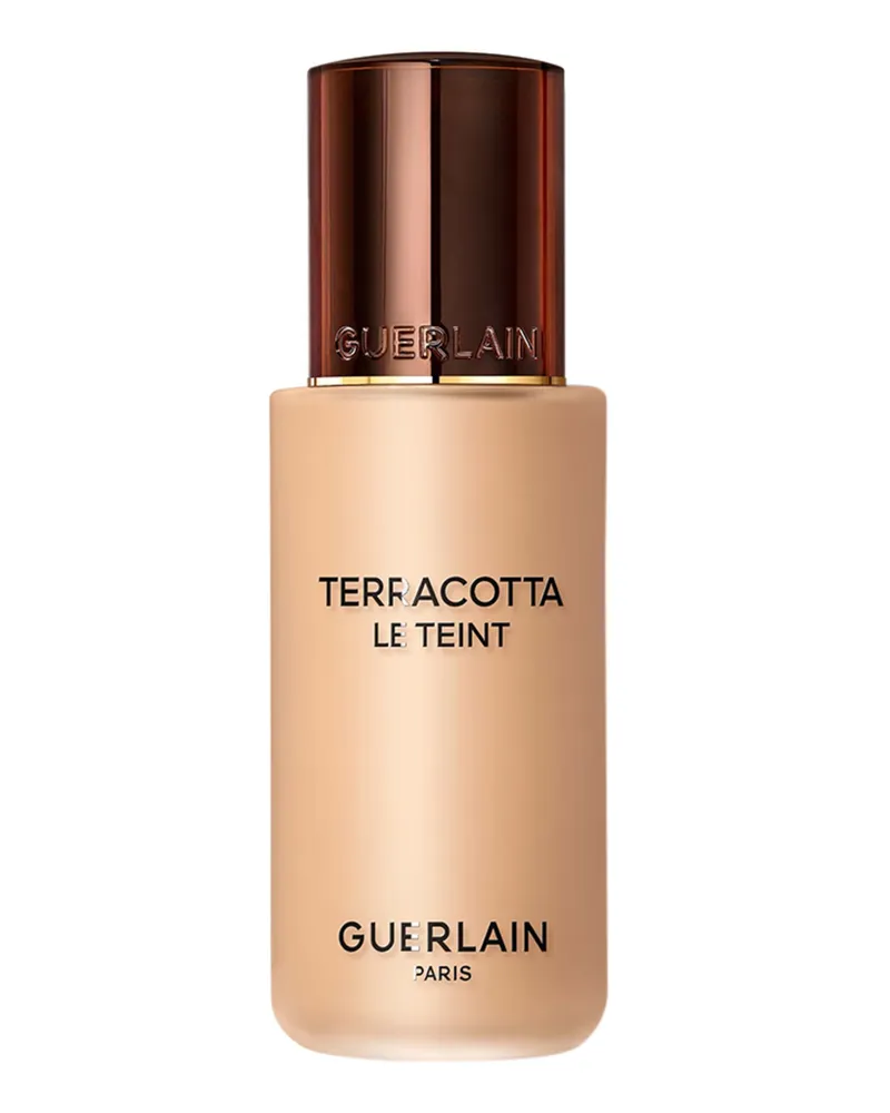 Guerlain TERRACOTTA LE TEINT 3w