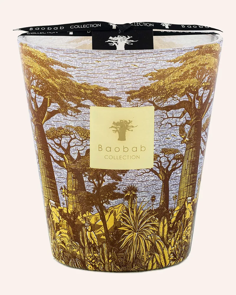 Baobab Collection Duftkerze SACRED TREES COCODY Gelb