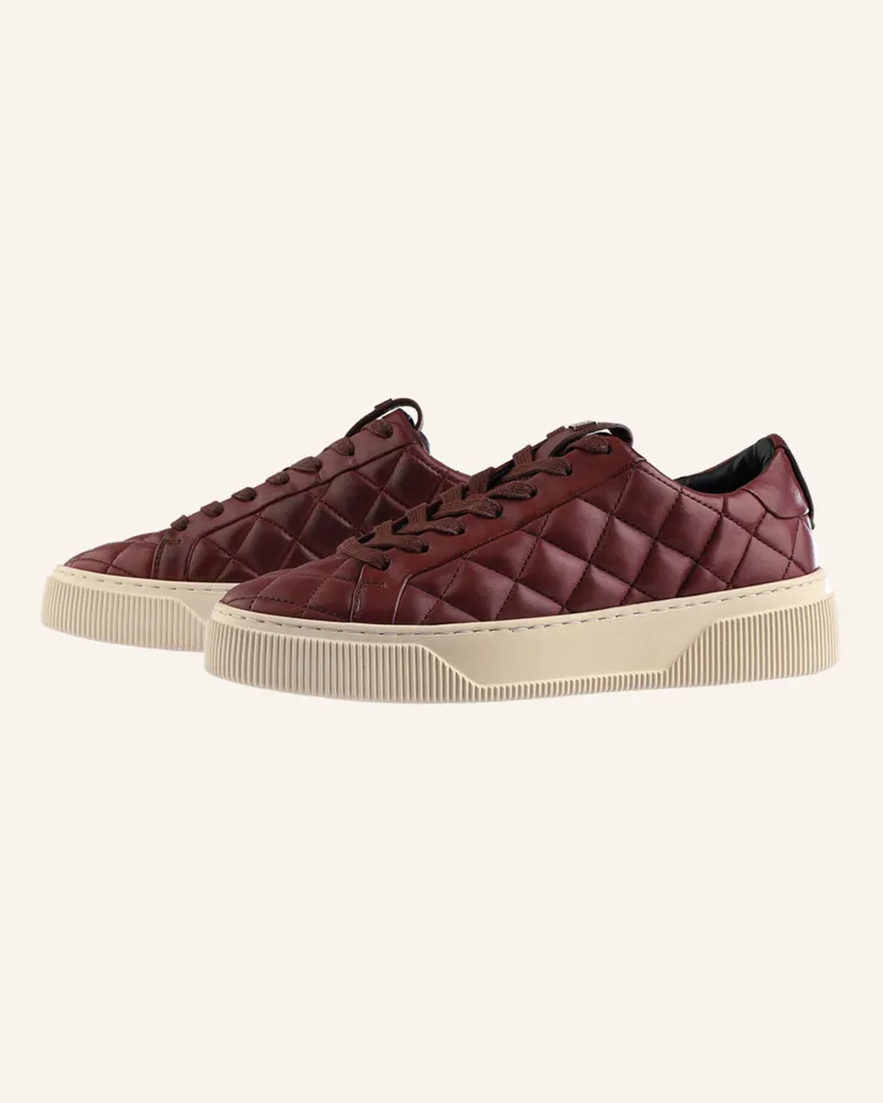 Högl Sneaker Marley gruen 