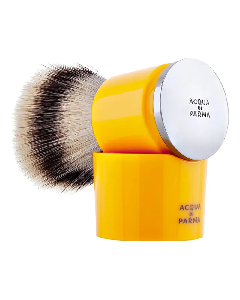 ACQUA DI PARMA BARBIERE 300 € / 1 Stück 