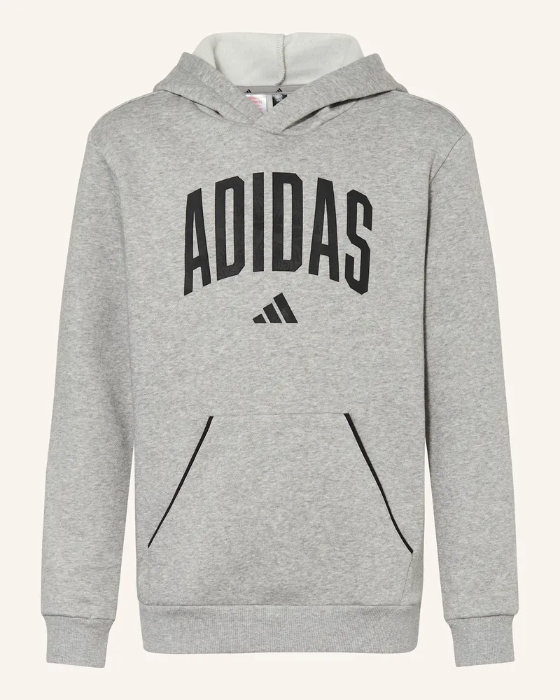 adidas Hoodie SEASONALS ESSENTIALS COLLEGIATE TYPOGRAPHY Grau