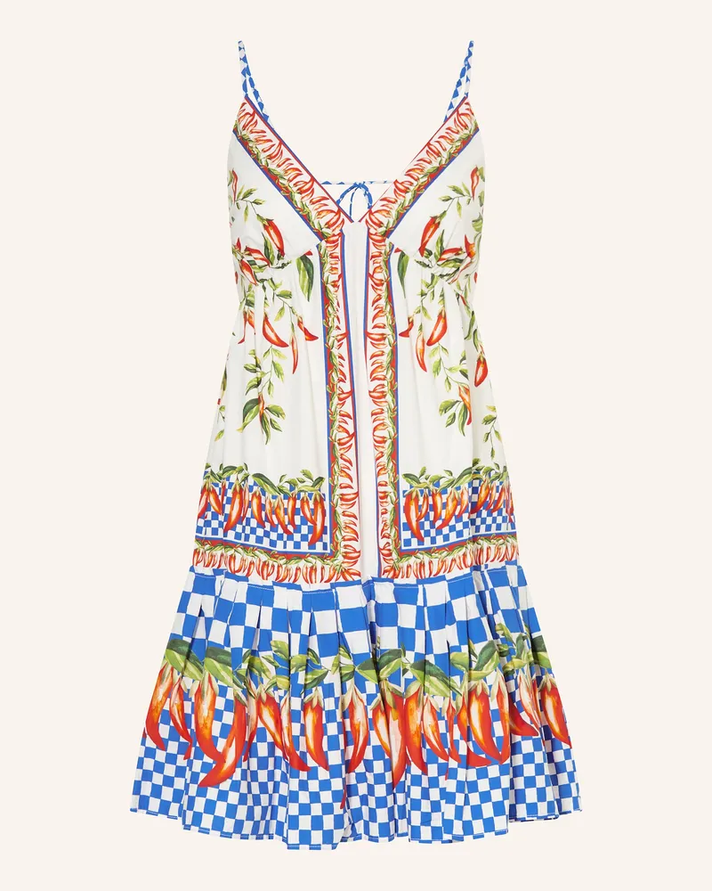 FARM Rio Kleid PICNIC PEPPERS Blau