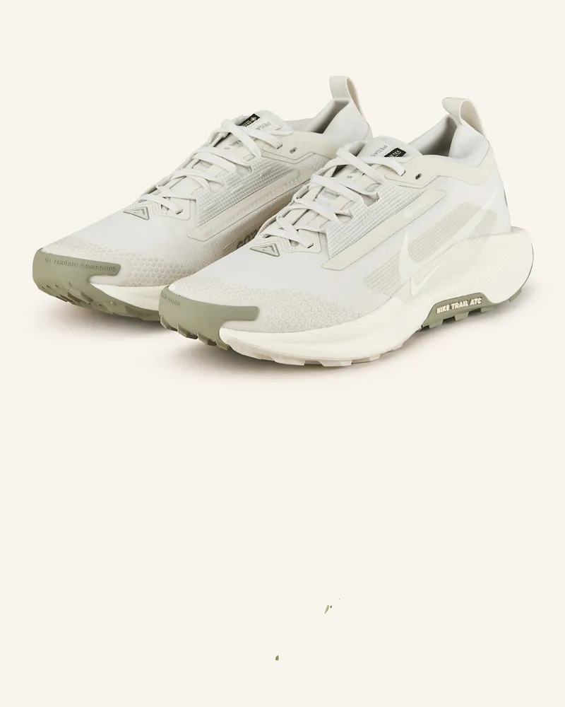 Nike Trailrunning-Schuhe PEGASUS TRAIL 5 GTX Hellgrau