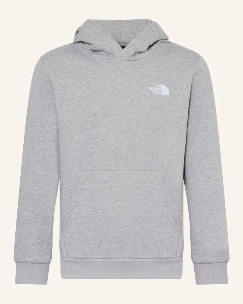 The North Face Hoodie Teen Evolution grau Grau