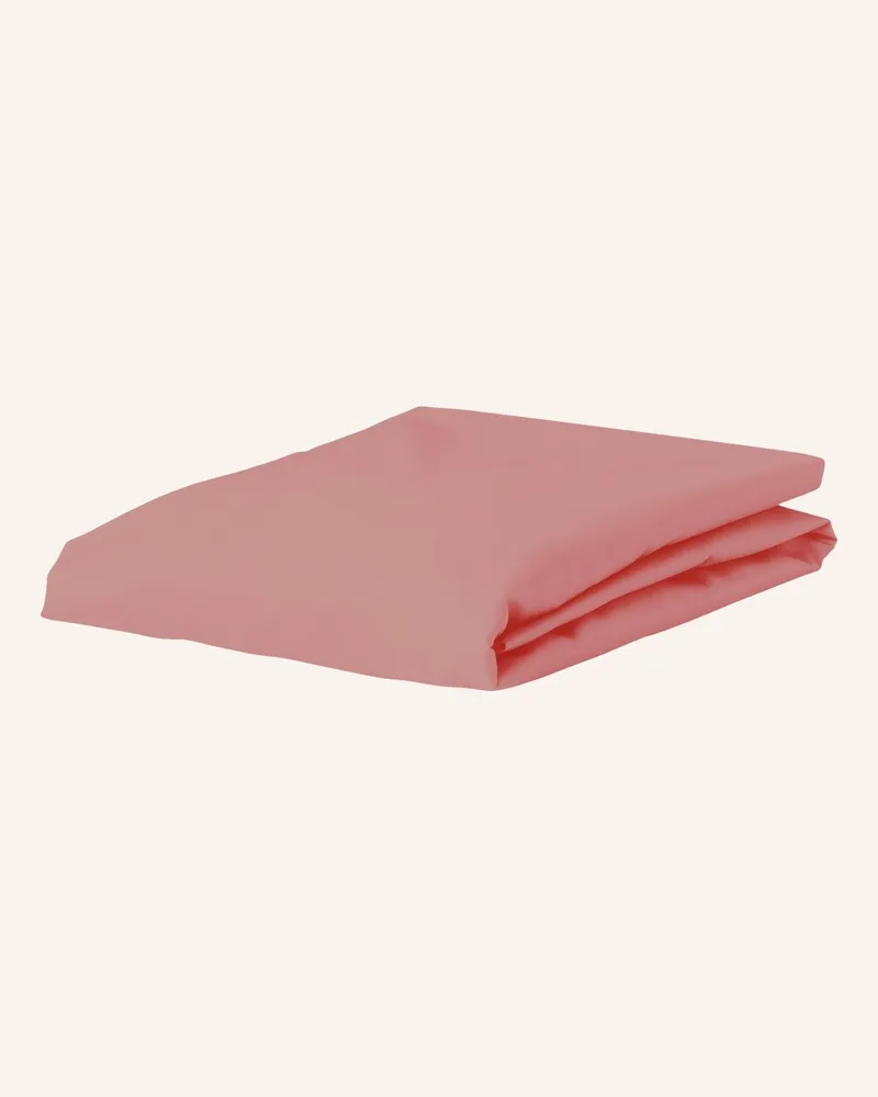 Essenza Spannbettlaken MINTE Pink