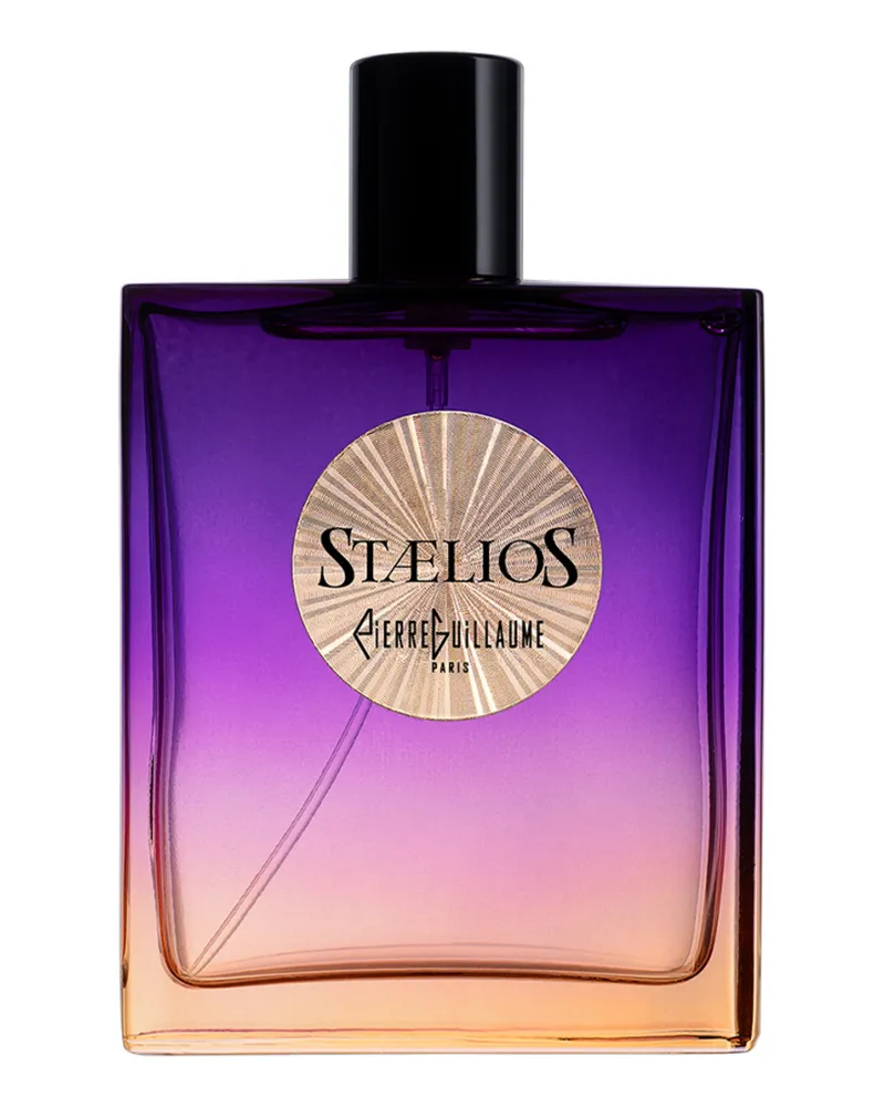 Pierre Guillaume Paris Stælios Eau de Parfum 100 ml 