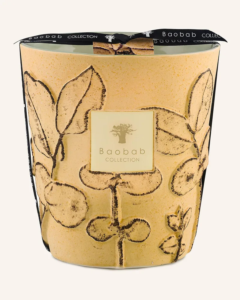 Baobab Collection Duftkerze Garrigue gelb Dunkelgelb