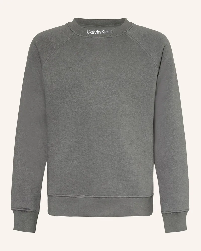 Calvin Klein Sweatshirt grau Grau