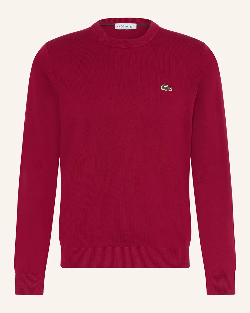Lacoste Pullover rot Dunkelrot