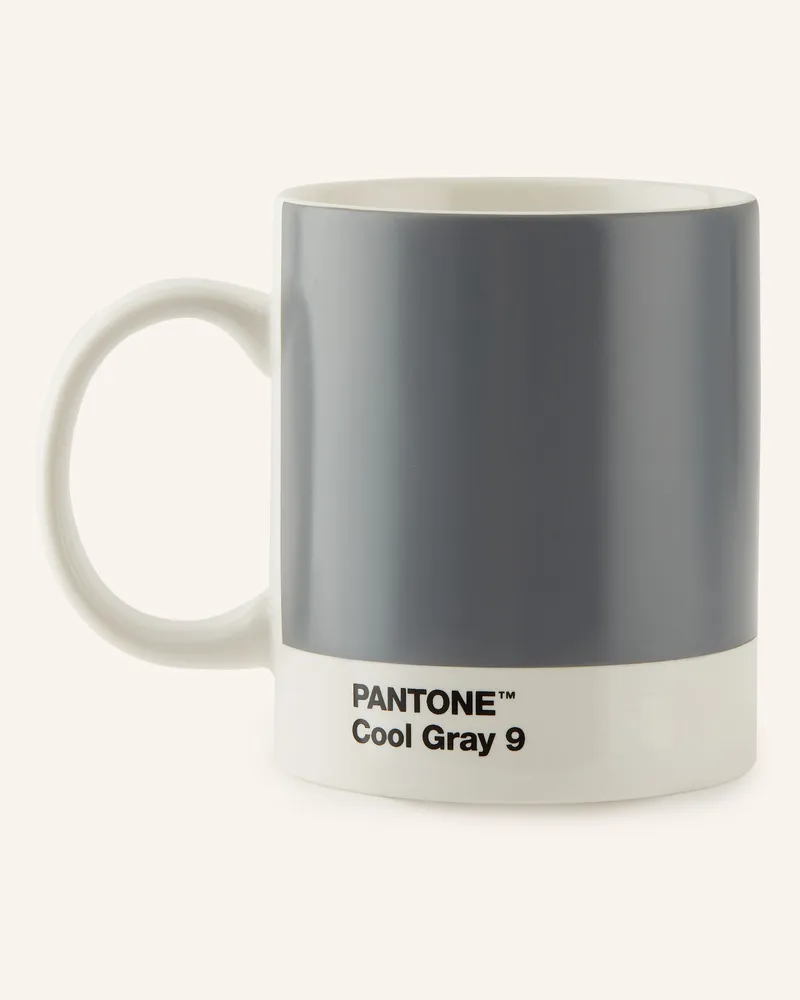 Pantone Universe Henkelbecher grau Grau