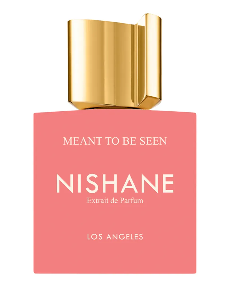 NISHANE Meant To Be Seen Extrait de Parfum 50 ml 