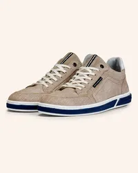 Floris van Bommel Sneaker TERRI 07 - HELLBRAUN Braun