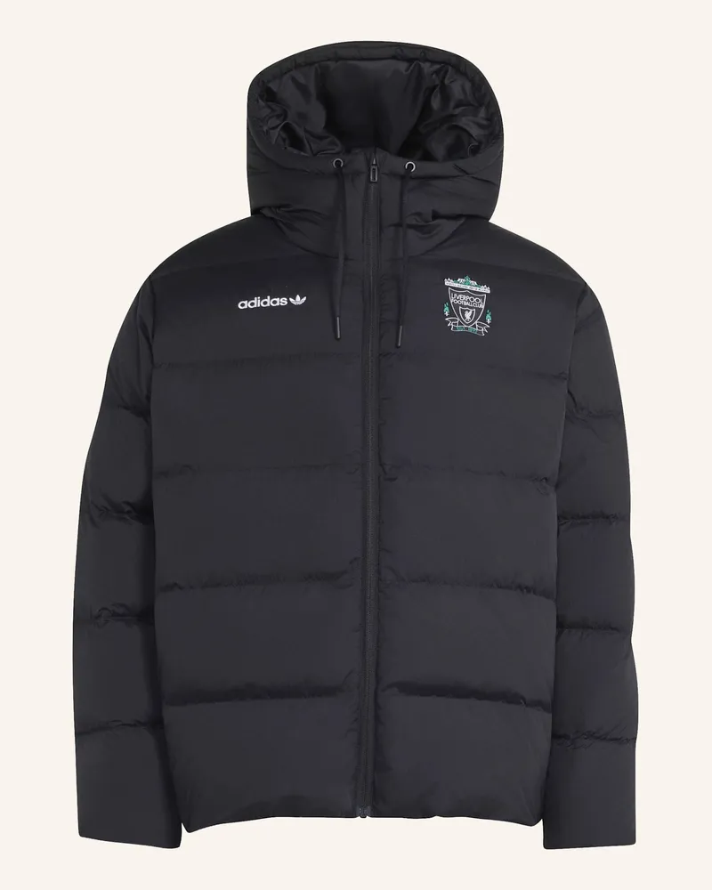 adidas Liverpool Fc Eqt Daunenjacke schwarz Schwarz