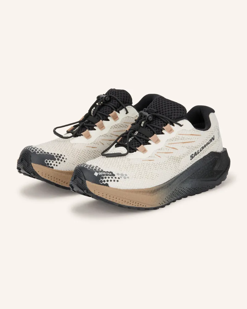 Salomon Trailrunning-Schuhe Aero Blaze 4 Grvl Gtx beige Creme