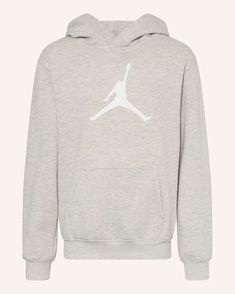 Jordan Hoodie grau Grau