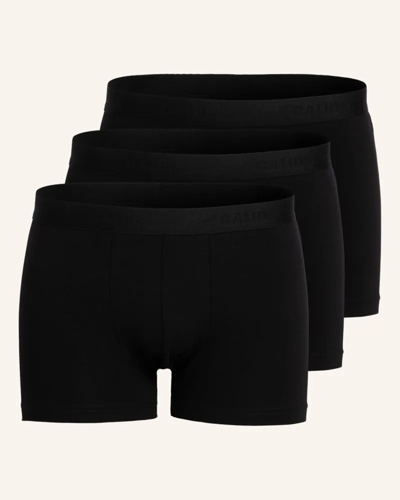 Calida 3er-Pack Boxershorts Natural Benefit schwarz Schwarz