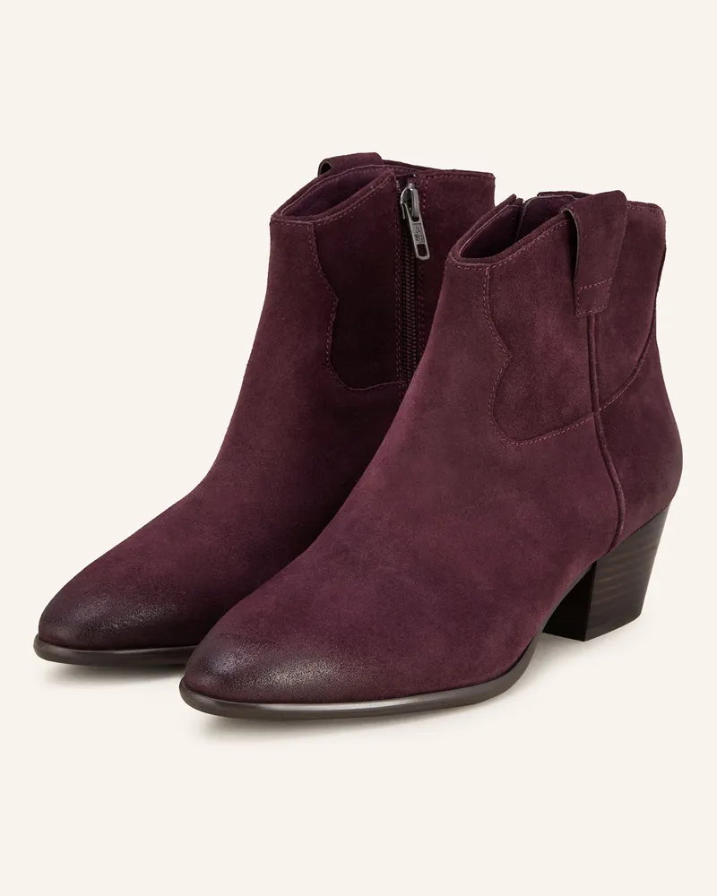 ash Cowboy Boots FAME Dunkelrot