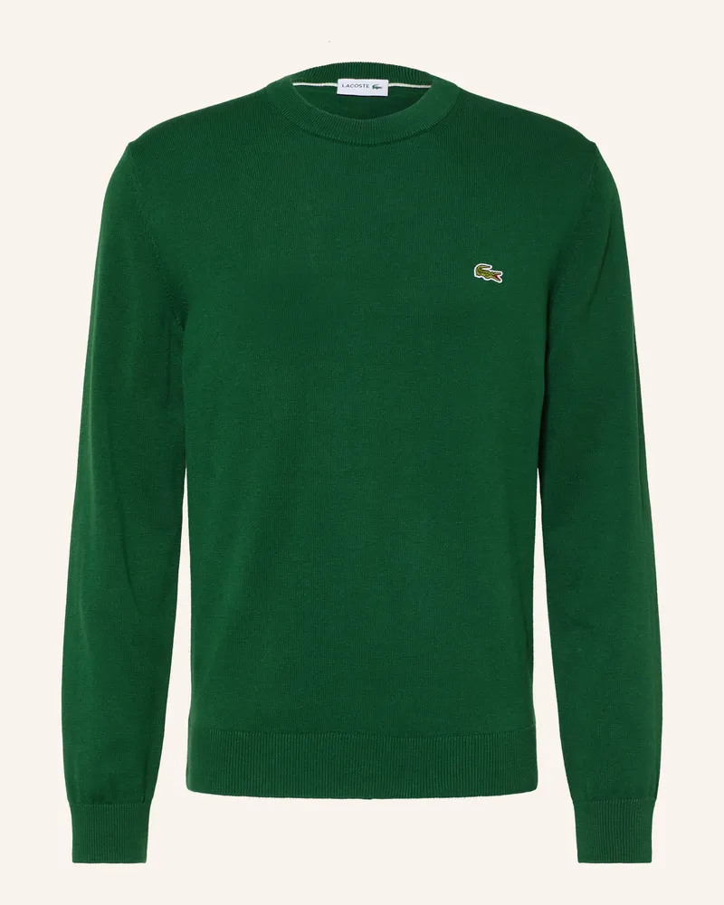 Lacoste Pullover gruen Grün
