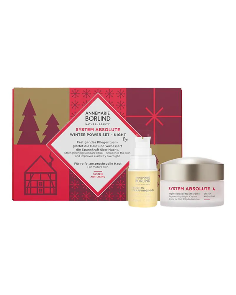 Annemarie Börlind SYSTEM ABSOLUTE WINTER POWER NIGHT SET 