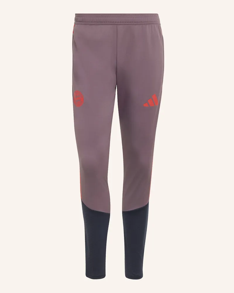 adidas Fc Bayern München 26/27 Cup Trainingshose lila Braun