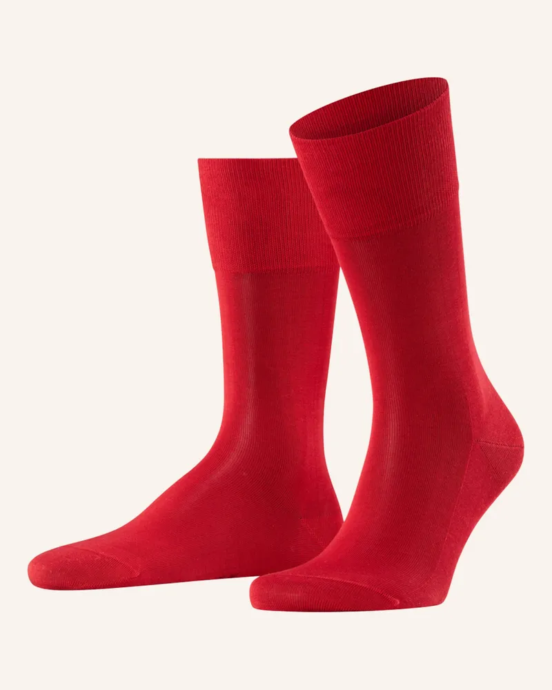 Falke Socken TIAGO 8228
