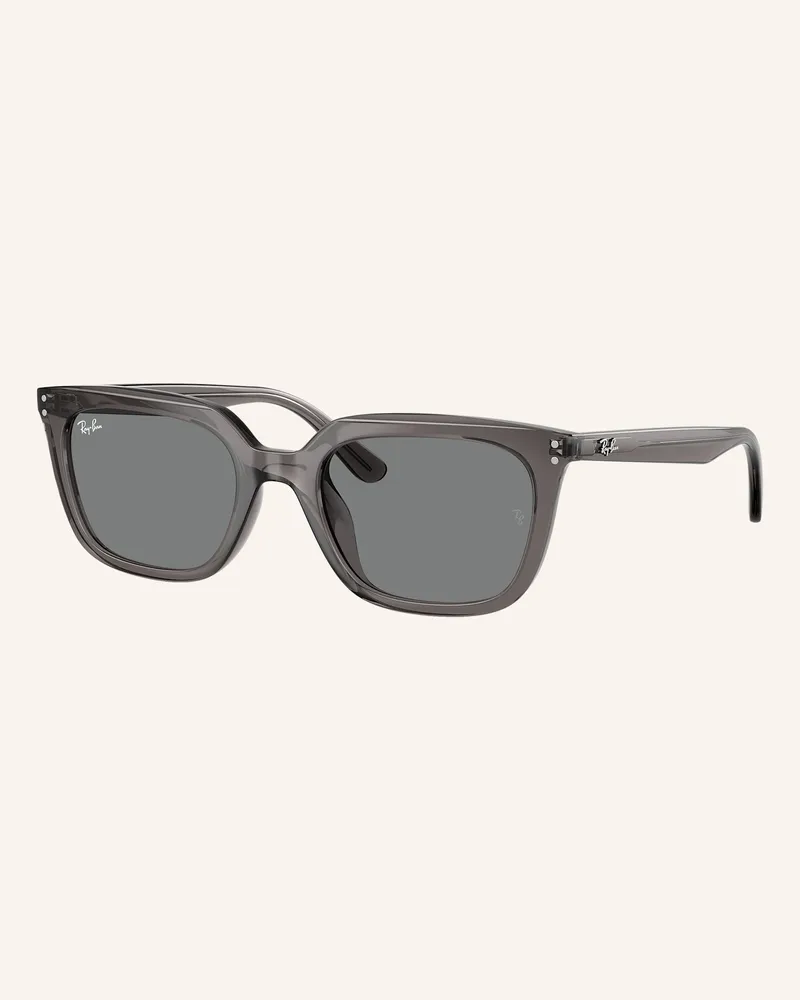 Ray Ban Sonnenbrille rb4439d grau 667587