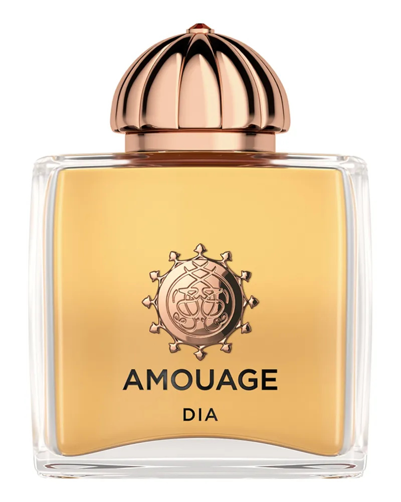Amouage Dia Woman Eau de Parfum 100 ml 