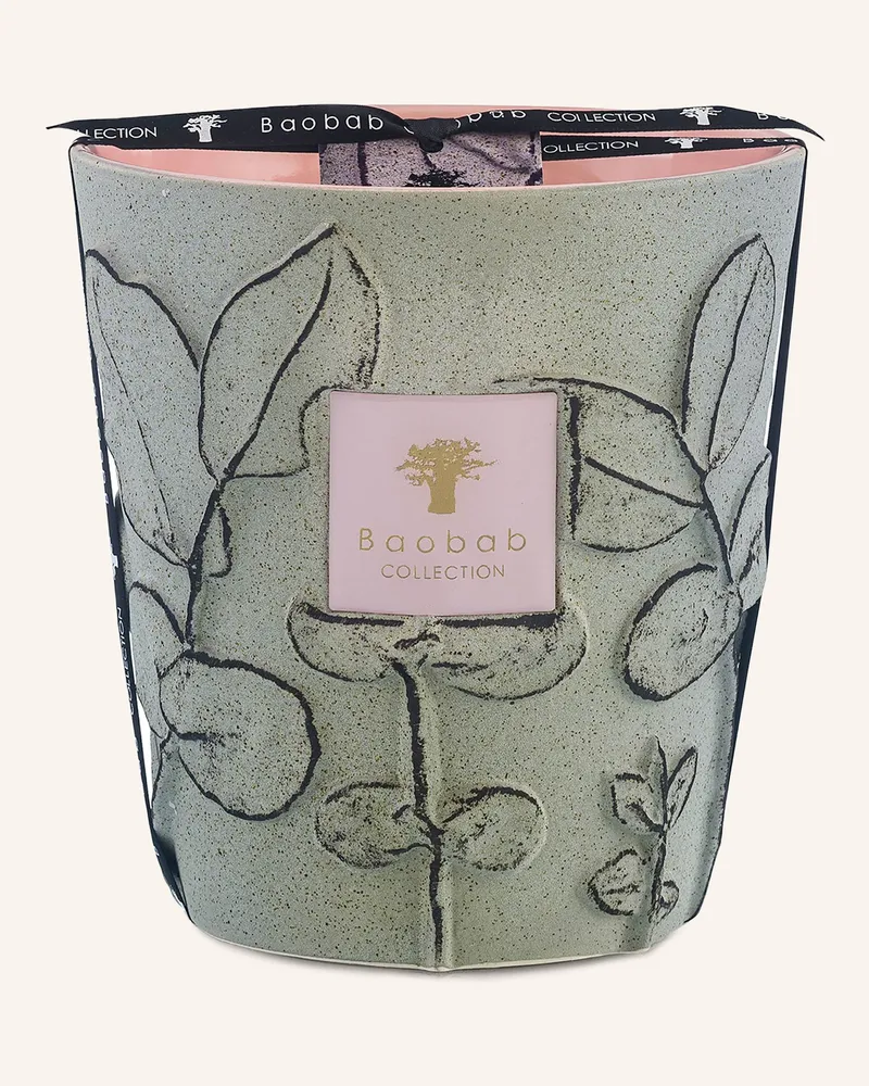 Baobab Collection Duftkerze FOLIA MAQUIS Grün