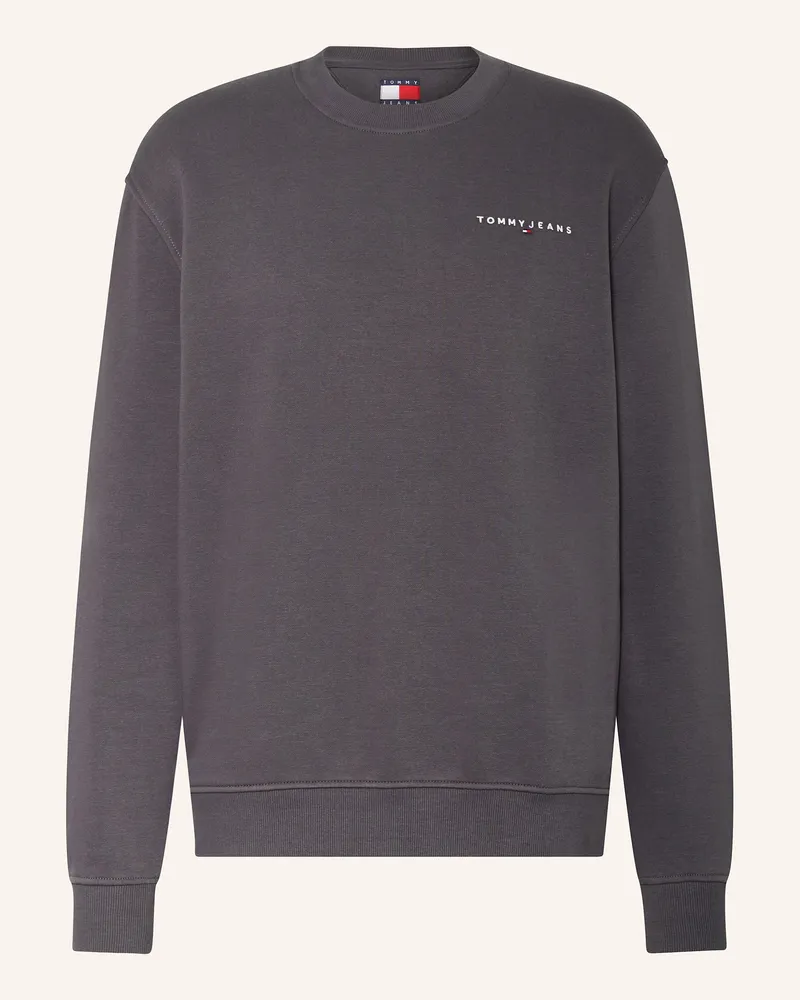 Tommy Hilfiger Sweatshirt Dunkelgrau