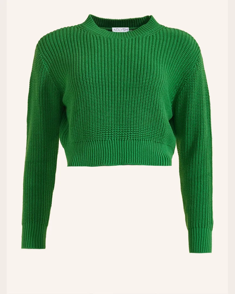 ADLYSH Pullover & Strickjacken Daily Attendat Sweater gruen Grün