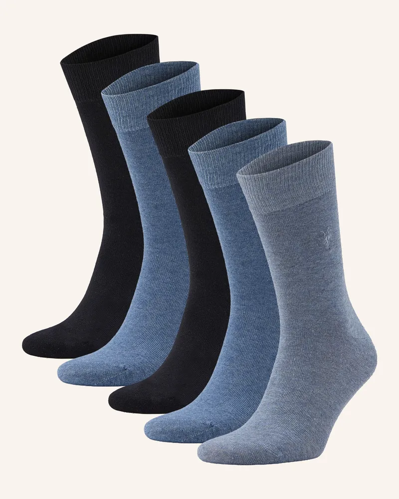 AllSaints 3er-Pack Socken Adan blau Blaugrau