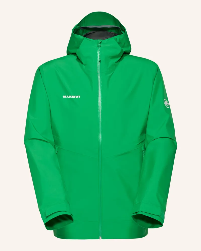 Mammut Funktionsjacke Alto Light gruen Grün