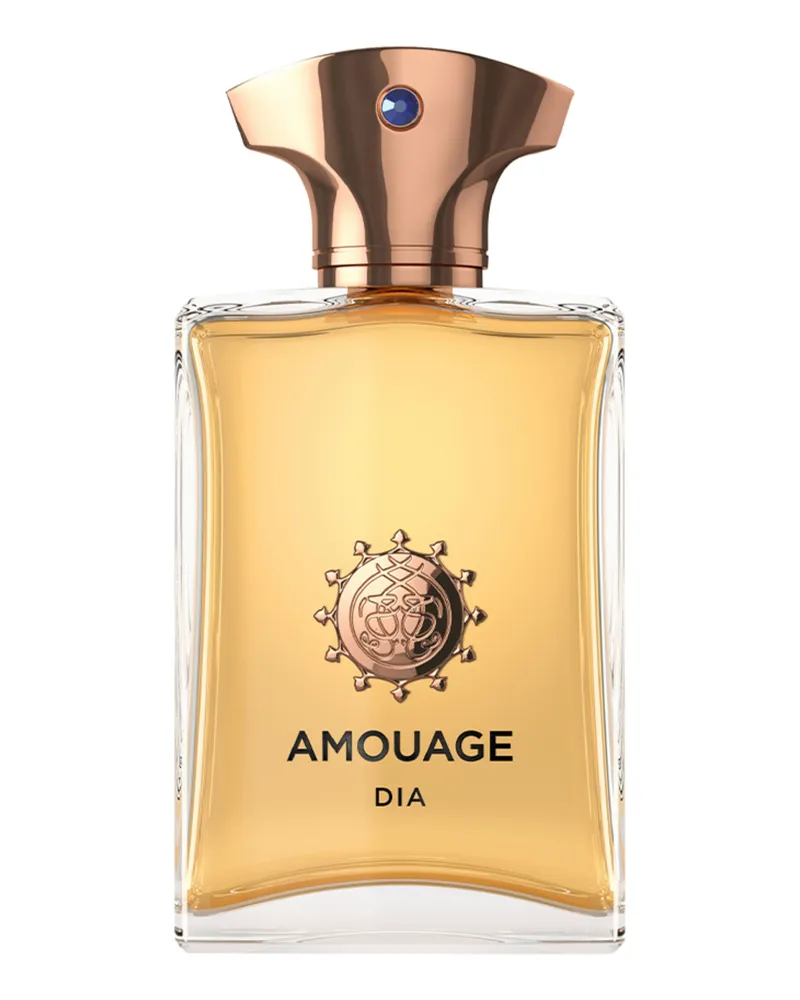 Amouage DIA MAN 