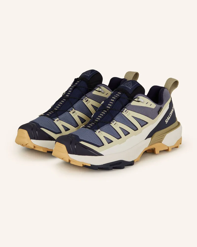 Salomon Wanderschuhe X ULTRA 360 EDGE GTX Oliv