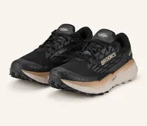 Trailrunning-Schuhe CASCADIA 19 GTX