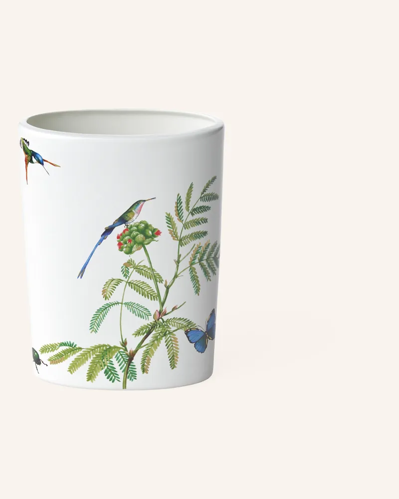 Villeroy & Boch Vase Amazonia weiss Gelb