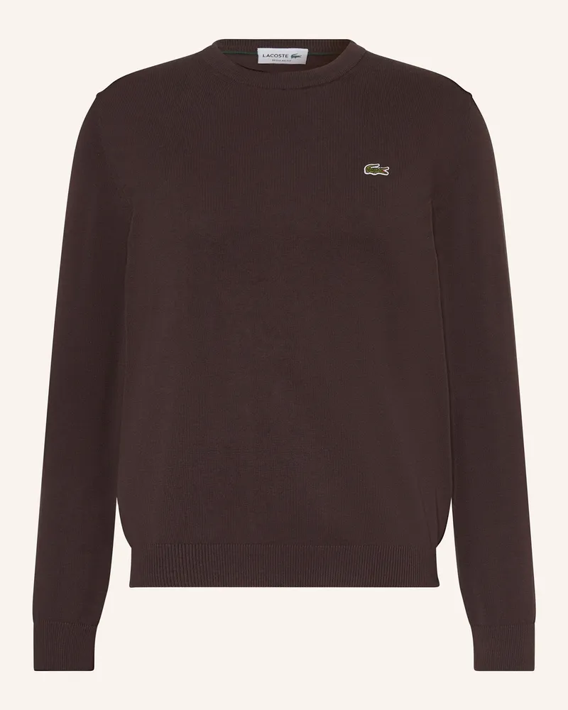 Lacoste Pullover Dunkelbraun