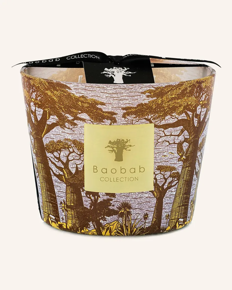 Baobab Collection Duftkerze Sacred Trees Cocody gelb Gelb