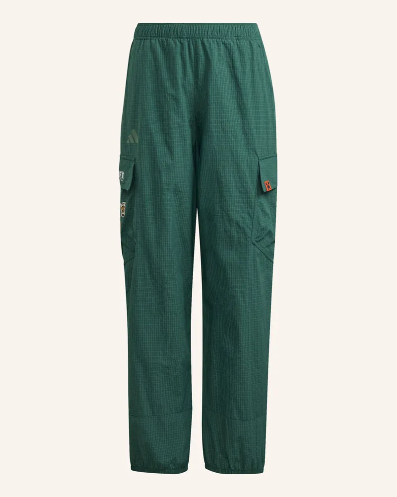 adidas Adidas Minecraft Terrex clima365 Kids Cargohose gruen Grün