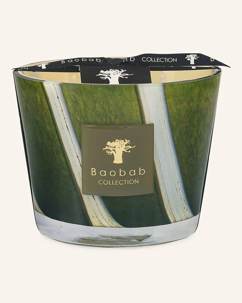 Baobab Collection Duftkerze SHERWOOD Grün