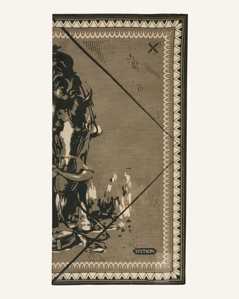 Stetson Tuch Last Drop gruen Grau