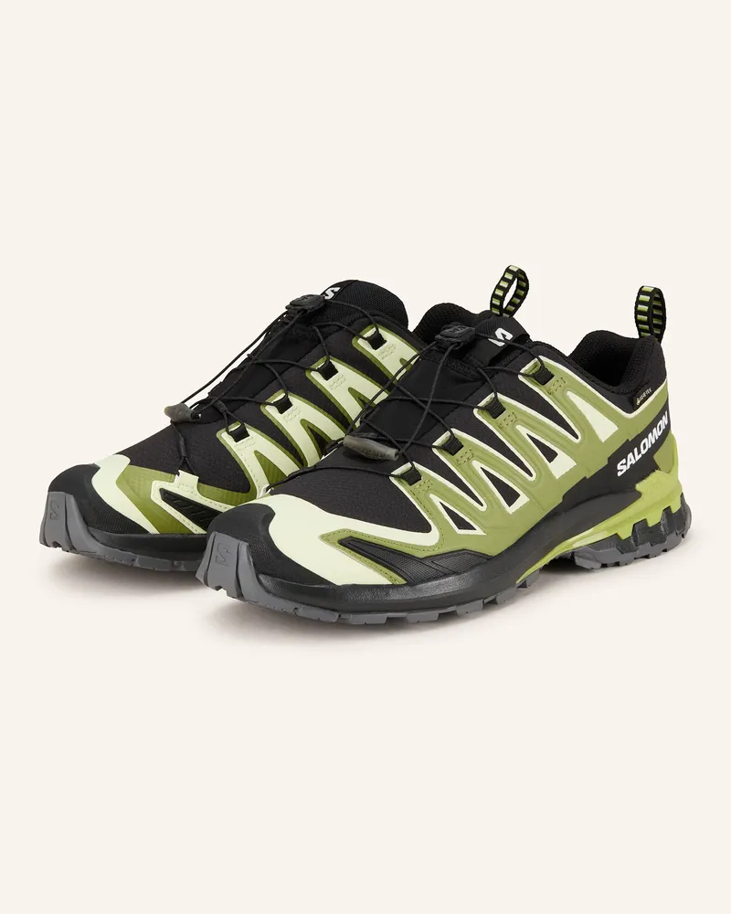 Salomon Wanderschuhe Xa Pro 3d v9 Gtx gruen Schwarz