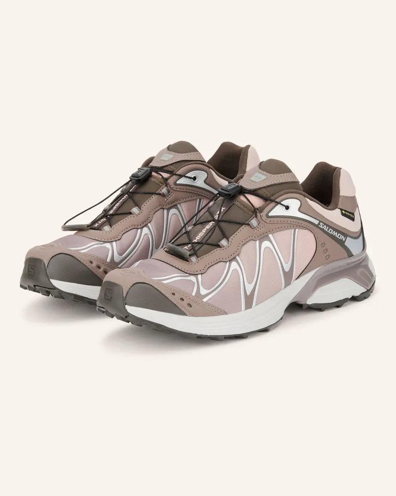 Salomon Sneaker Xt-Whisper Gtx braun Taupe