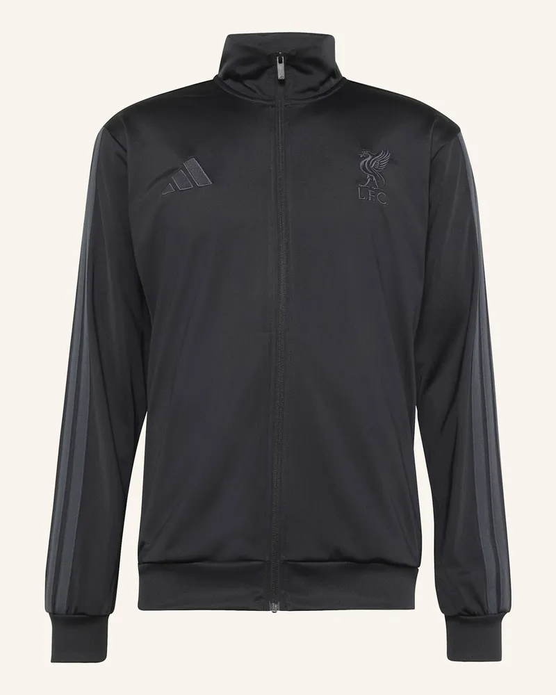 adidas Fc Liverpool Dna Trainingsjacke schwarz Schwarz
