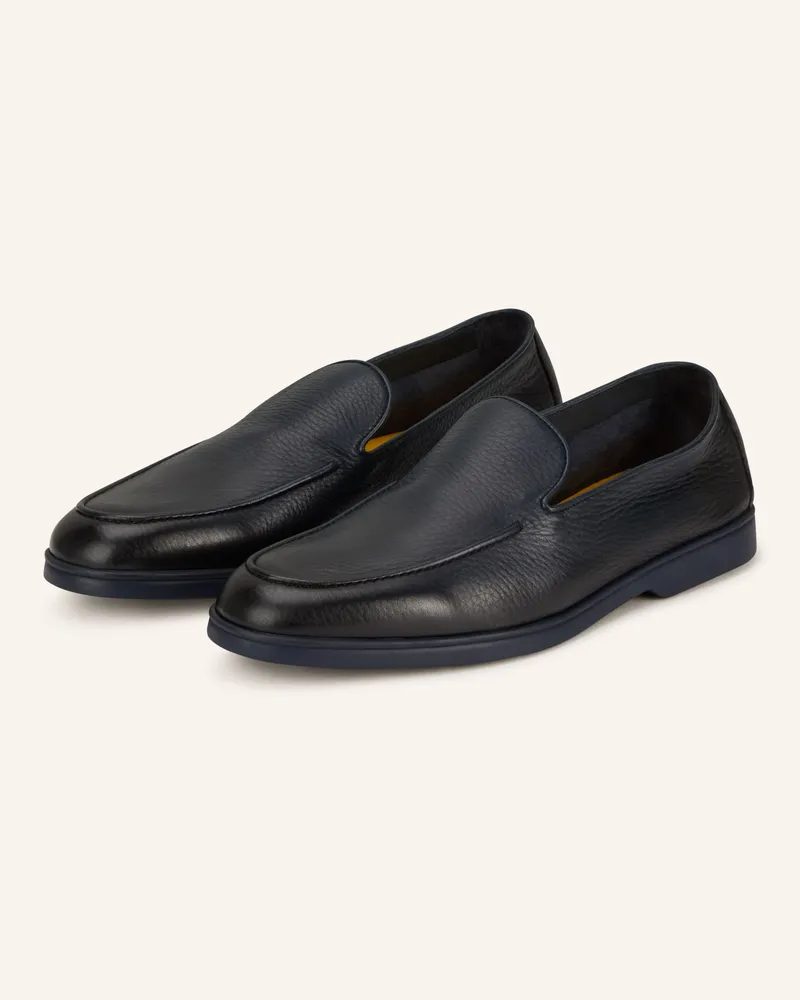 Doucal´s Slipper blau Schwarz