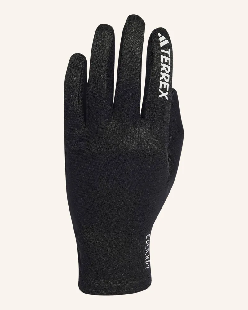 adidas Terrex Cold.Rdy Handschuhe schwarz Schwarz